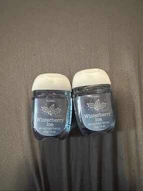 Winterberry Ice Pocketbacs (2)